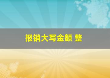 报销大写金额 整